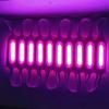 20 Stück COB LED Warnleuchte für Bus LKW Anhänger Fahrzeuge Signalgebung Werbung Leuchtend 12V Stopp LED Einspritzung mit Linsenmodul Licht