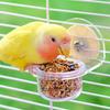 Bird Bowl Training Cup Feeding Bowl Parrots Cage Toy for Cockatiels Budgies Parrots Gym Toy Feeding Cup