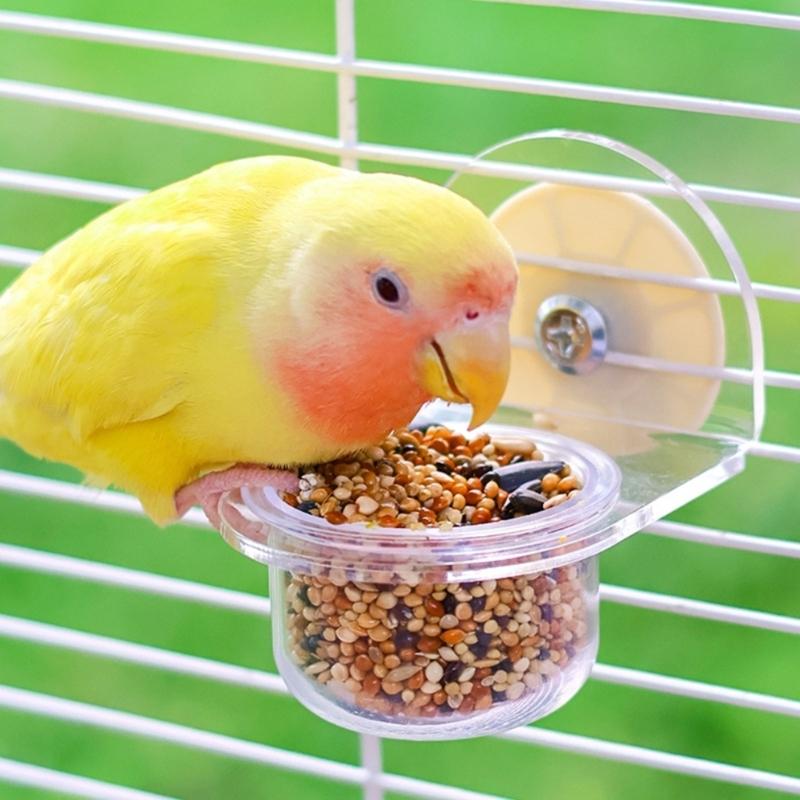 Bird Bowl Training Cup Feeding Bowl Parrots Cage Toy for Cockatiels Budgies Parrots Gym Toy Feeding Cup
