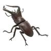Ornament Twisted Egg Insect Mini Beetle Unicorus Dynastes Simulation Animal Model Collection Desktop Ornament FIGURE PLAYTHINGS