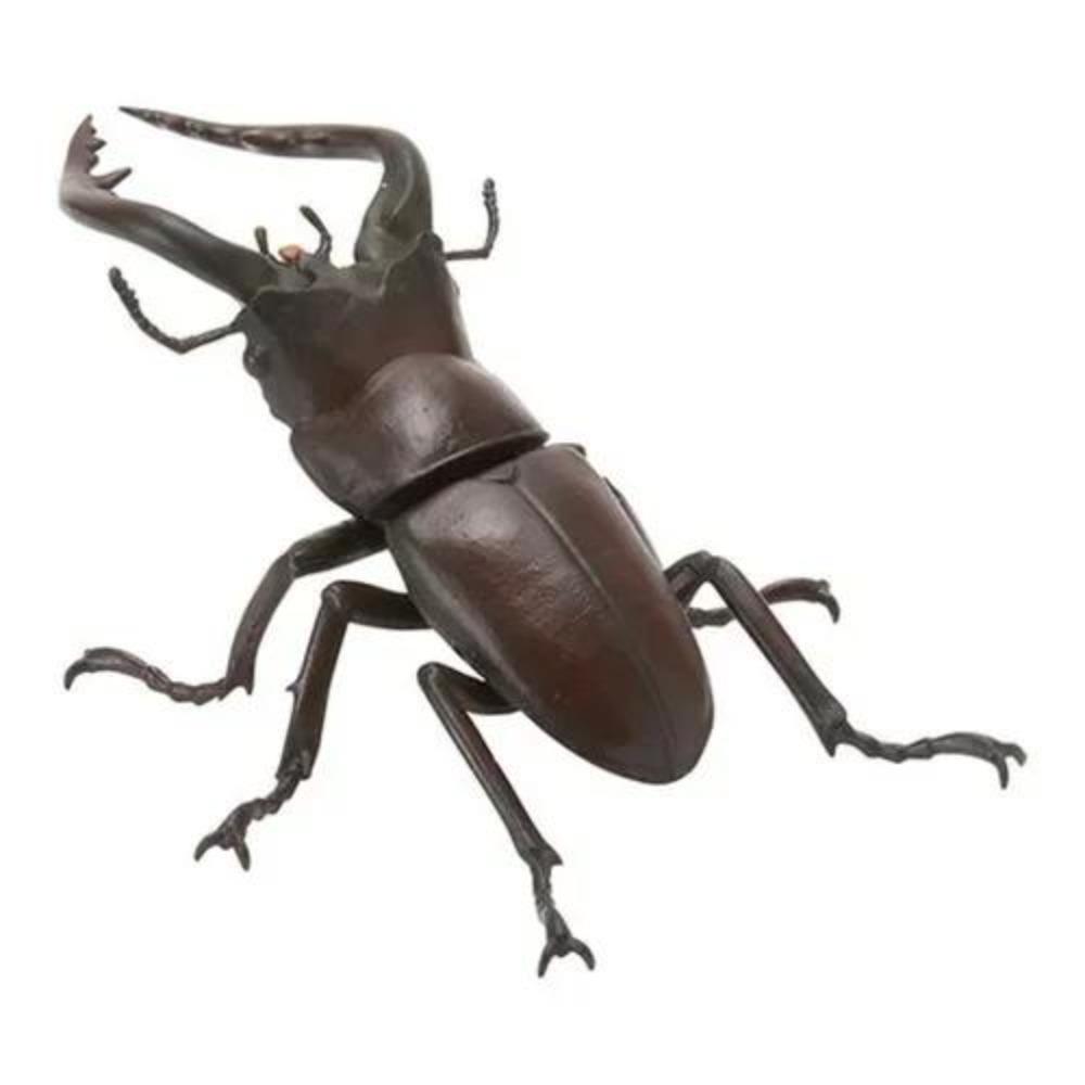 

Ornament Twisted Egg Insect Mini Beetle Unicorus Dynastes Simulation Animal Model Collection Desktop Ornament FIGURE PLAYTHINGS 6cm