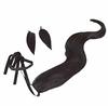 Cosplay Wig for Includes Net and Includes and Tail Heat-Resistant Disguise, Comb, Wig, Ears, (Kitasan Black)