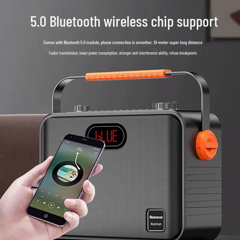 Newmine K510 Portable Outdoor Bluetooth Guitar & Vocal Speaker CN plug (adapter included)