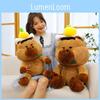 Adorable Capybara Plush Toy Creative Design Soft Pp Cotton Stuffed Animal For Kids
