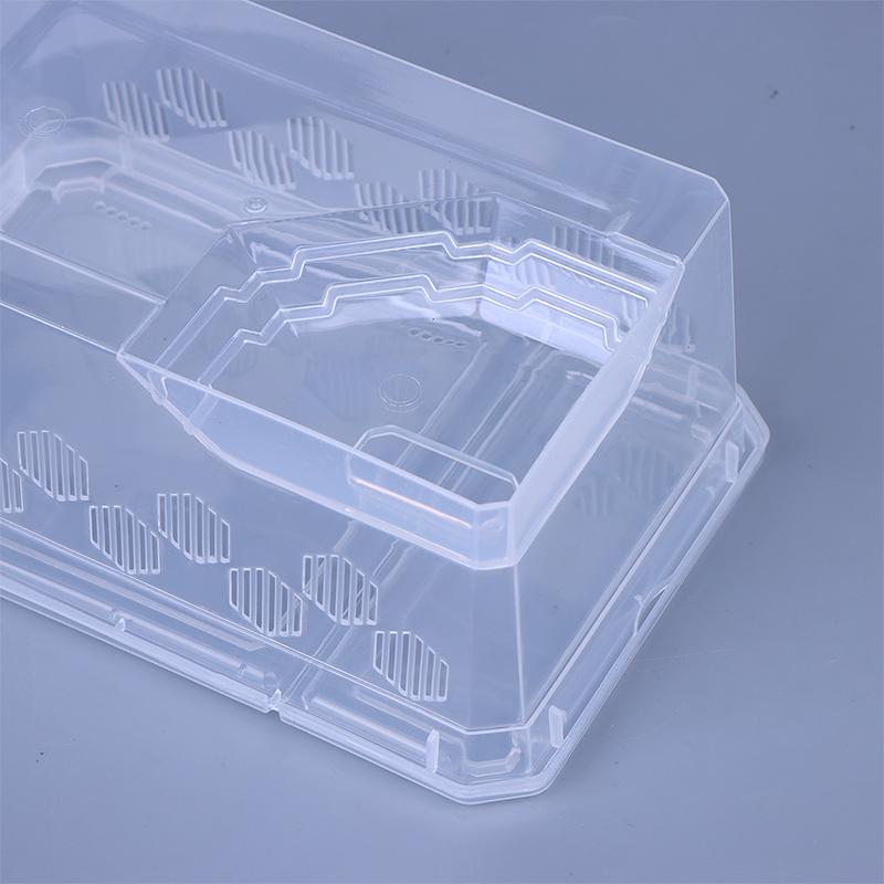 Reptile Tank Insect Spiders Tortoise Lizard Plastic Transparent Reptile Breeding Box Vivarium With Balcony Feeding Supplies