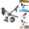 Lifelike Crow Bird Model Pvc Material Educational Toy Bird Figurine Non-assembly 3c Certified