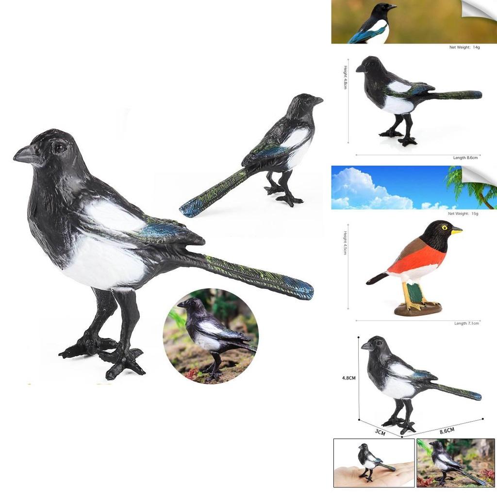 Lifelike Crow Bird Model Pvc Material Educational Toy Bird Figurine Non-assembly 3c Certified