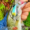 LUCKY CRAFT Clutch MR Fishing Lure Crankbait (004 Lime Chartreuse)