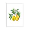 Kitchen Lemon Posters and Prints Decoration Canvas Wall Pictures Meals And Memories Are Made Here Quotes Art Painting Gift Decor