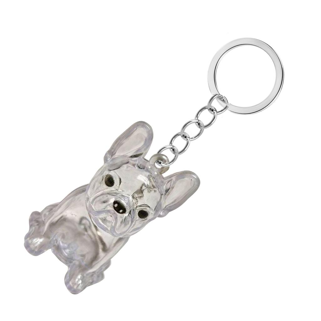 Clear Pet Hair Memorial Storage Box Keepsakes Keychain For Dog Lover Pet Furs Collector Keychain Accessories Gift