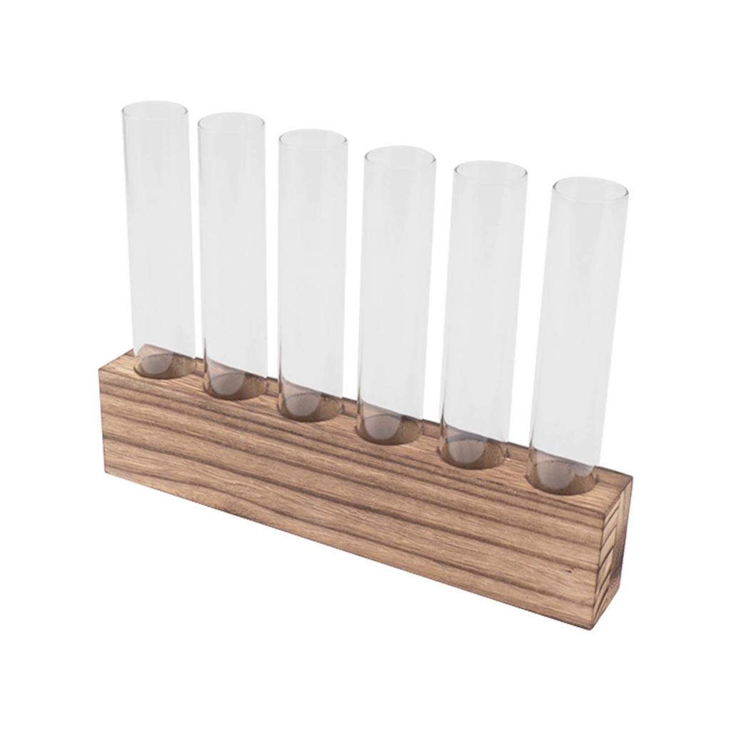 Glass Plant Propagation Station Plant Propagation Tubes Desktop Plant Terrarium With Wooden Stand