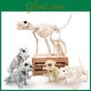 Schelete de Animale Întunecate de Halloween Pentru Decorul Casei Bântuite