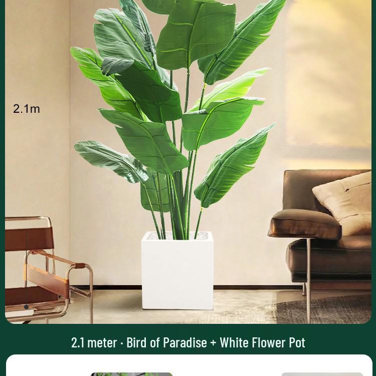 High-End Indoor Bird of Paradise Decor: Luxury Potted Traveler's Palm
