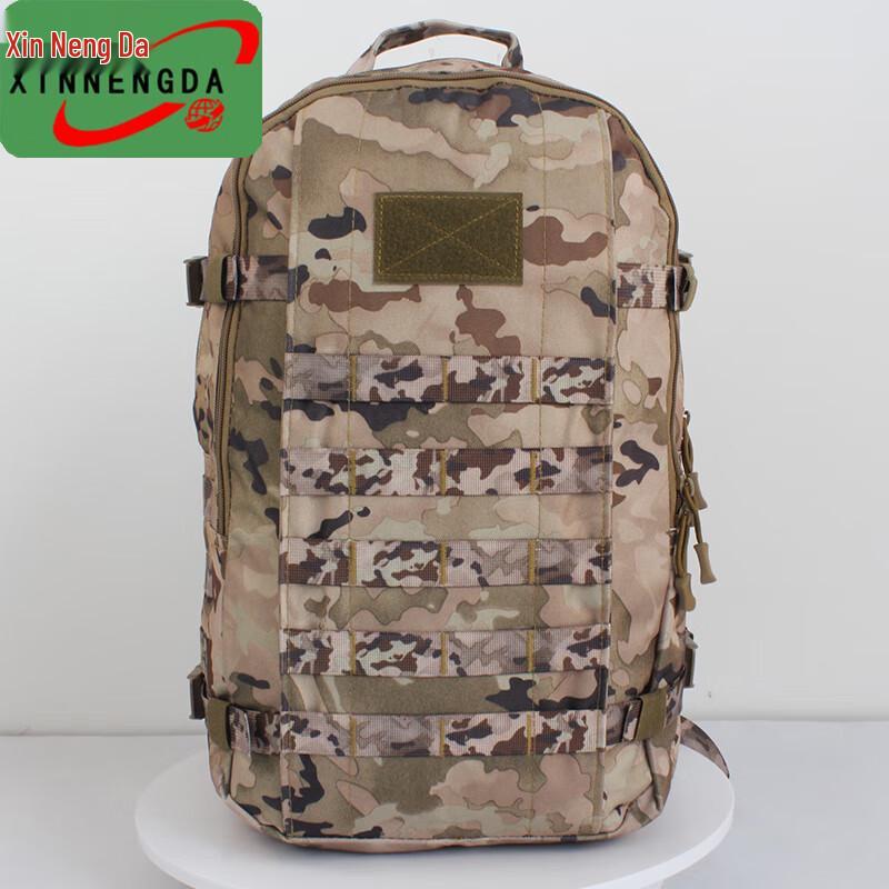 Xinnengda Type 19 Tactical Training Backpack