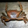 Vintage Crab Simulation Animal Model Statue Figurine Miniature Tea Pet Ornament Antique Metal Crafts Desk Decoration