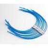 High-performance Line for 30 Cm Combitrim
