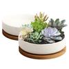 FaceColor Ceramic White with Hole and Cactus Round Mini Living Garden Set of 2 Not Pot, Ceramic, Saucer, Planter, Pot, (Size 16165.5 CM), Bonsai,