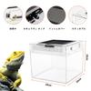 Reptile Growth Small Reptile Cage, Transparent Reptile Cage, Terrarium for Small Animals, Turtles, Turtles, Amphibians, and Other Animals, 20 X 20 X 1