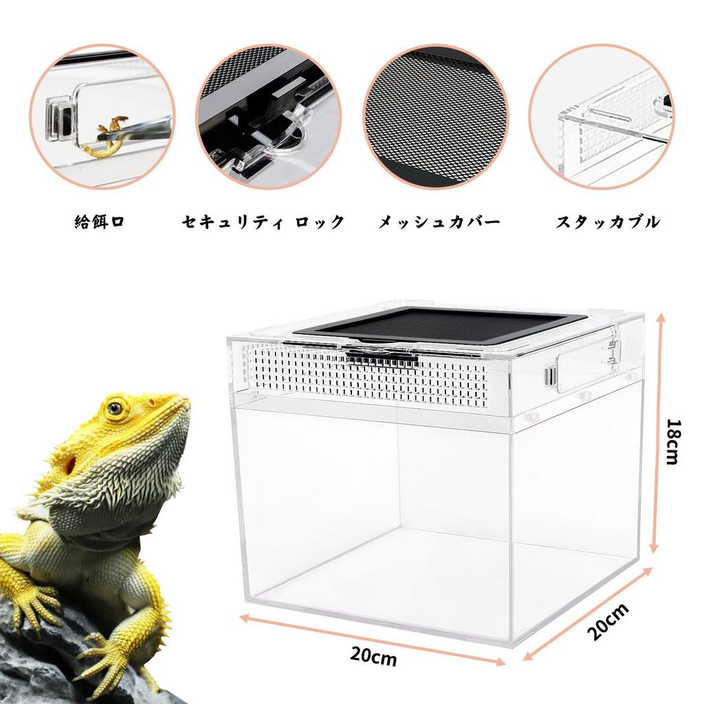 Reptile Growth Small Reptile Cage, Transparent Reptile Cage, Terrarium for Small Animals, Turtles, Turtles, Amphibians, and Other Animals, 20 X 20 X 1