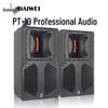 Baiwei Professional 10-inch Stage Audio System Set (CN Version)