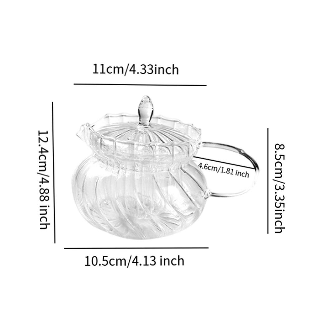 Glass Teapot Tea Glassware Borosilicate Long Last Use Removable Tea Strainer
