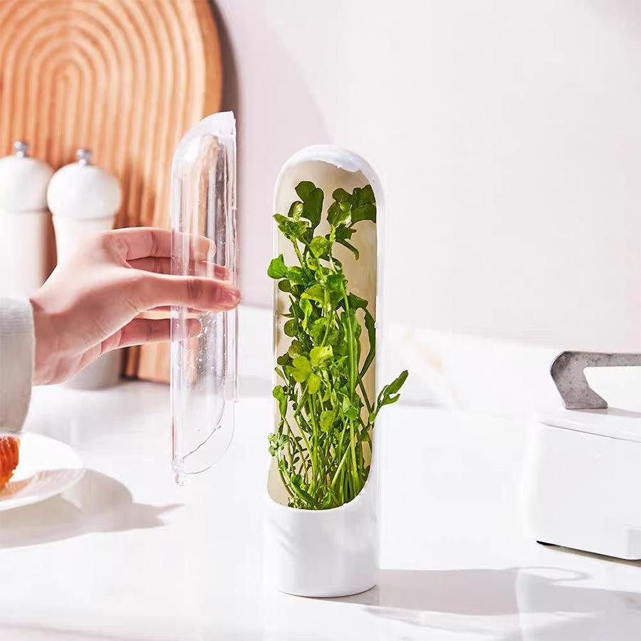 Hot Selling Fresh-keeping Box, Vegetable Storage Container, Fresh-keeping Cup, Suitable for Home Vegetable Fresh-keeping and Sto