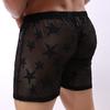 Men's Underwear Star Mesh Breathable  Pants Sexy Transparent Underwear