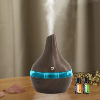 300ml USB Humidifier  Ultra Quiet Cool Mist for Bedroom & Office, Aromatherapy Diffuser with Essential Oils, Auto Shut Off, Perf