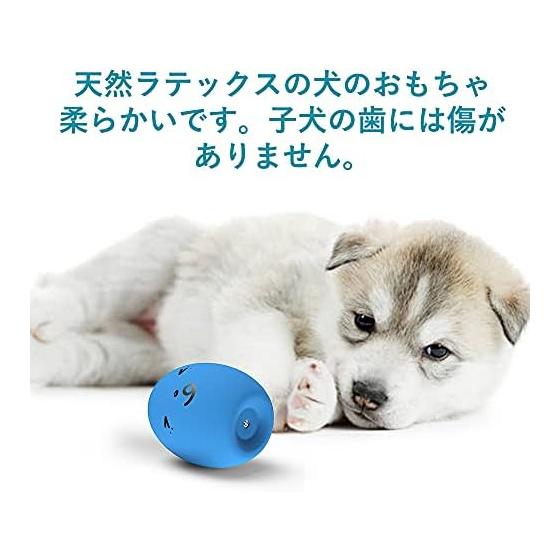 SCHITEC Dog Toys with Sound [Set of 8] Ball Pet Supplies, Relieves Lack of Exercise and Stress, Clean and Safe, Egg Shape, Highly Durable, For