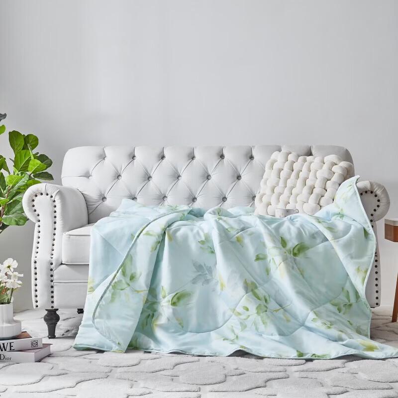 Mengjie Soft & Refreshing Summer Quilt - Xiaoshili Series