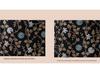 Women's Ethnic Embroidered Scarf: 2025 Autumn/Winter Imitation Cashmere Shawl with Tassels