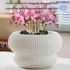 Large Creative Ceramic Flower Pot with Tray - Ideal for Chlorophytum & Succulents