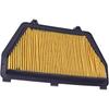 Road Passion 17210-MFJ-D00 Air Filter Replacement For Honda CBR600RR CBR600 RR CBR 600 RR 2007-2023/ CBR600RA CBR600 RA CBR 600 RA 2009-2023