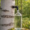 Birkenwasser-Erntehahn, 3D-gedruckter, auslaufsicherer Baumzapfhahn, Wiederverwendbarer Baumzapfhahn zur Ernte von Birken- und Ahornsaft