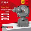 Echuang ITron 1.5" Gas Pressure Reducing and Regulating Valve for Natural and Liquefied Petroleum Gas.