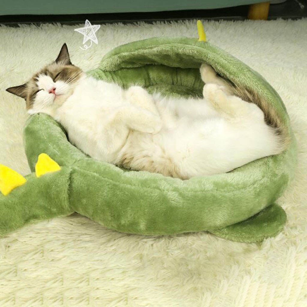 dinosaur cat bed