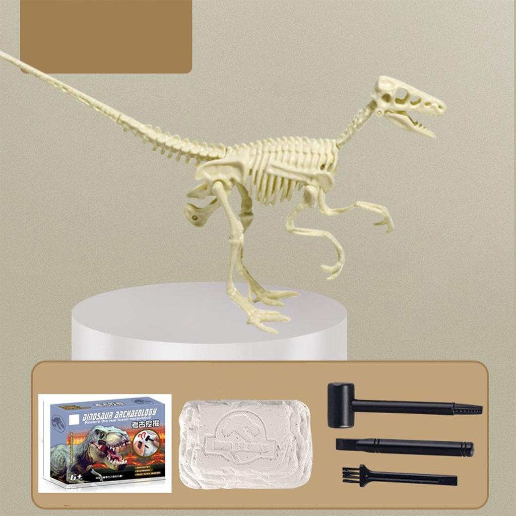 Dinosaur Dig- Kit | Creative Dinosaur Dig- Kit, Dig- Activity Kit, Gift For Boys And Girls