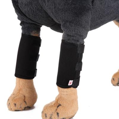 Pet Products Chránič kolene Chránič nohy pro psa Psí noha Ochranná sada pro domácí mazlíčky Chirurgie Ochranný kryt pro zranění psa
