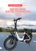 SAMEBIKE DZ2030 800W Bicicleta Elétrica de Entrega, Bateria de Lítio Removível 48V 16Ah, E-Bike com Pneu Gordo 20" x 4.0 para Adultos