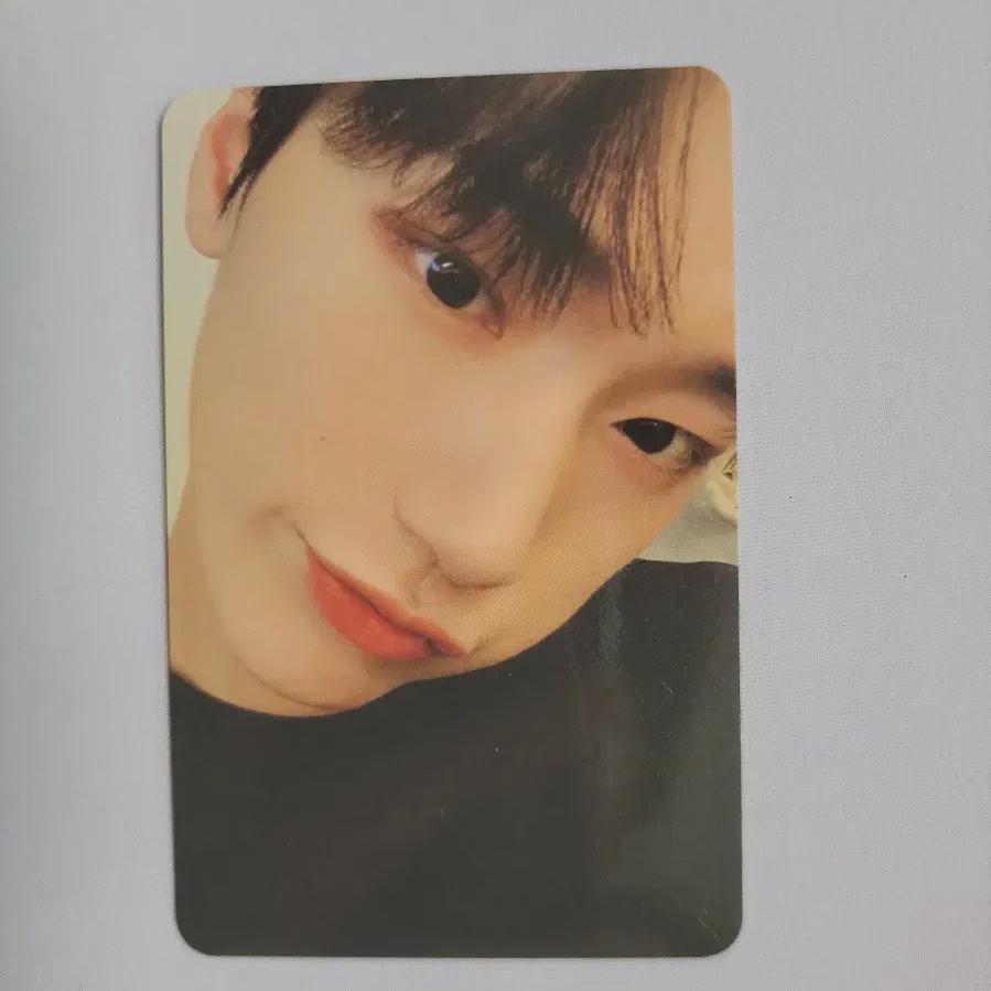 

ATEEZ Вандерволл Сан Фотокарточка