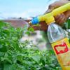 Portable High Pressure Manual Sprayer Adjustable Drink Bottle Spray Head Nozzle Garden Watering Tool Home Vegetable Gardens Mist