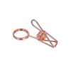 Creative Metal Desktop Photo and Memo Holder with Hanging Option