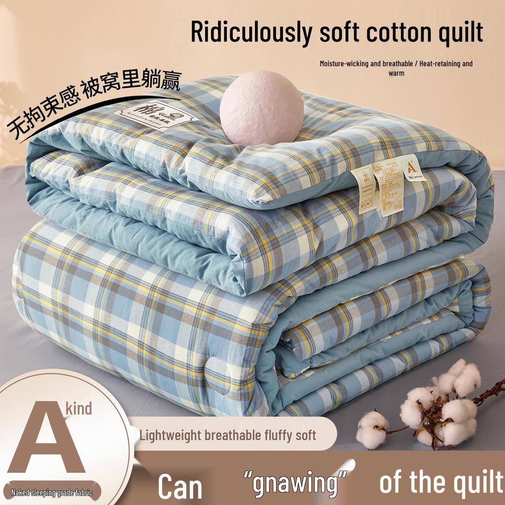 2025 All-Season Quilts: Thick Washed Cotton for Winter, Xinjiang Cotton for Summer, and Versatile Spring/Autumn Comfort