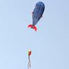 Stunning 3d Giant Dolphin Kite In Blue Ultimate Outdoor Fun For All Ages