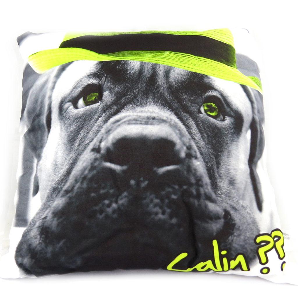 Les Trésors De Lily [L6884] - Cuddly 'A Love of Animals' Decorative Cushion?