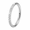 G23 Titan Zirkonia Högkvalitativa Kroppspiercing Smycken: Näspiercing, Stud, Örhänge, Ring, Clicker, Sömlös Ring