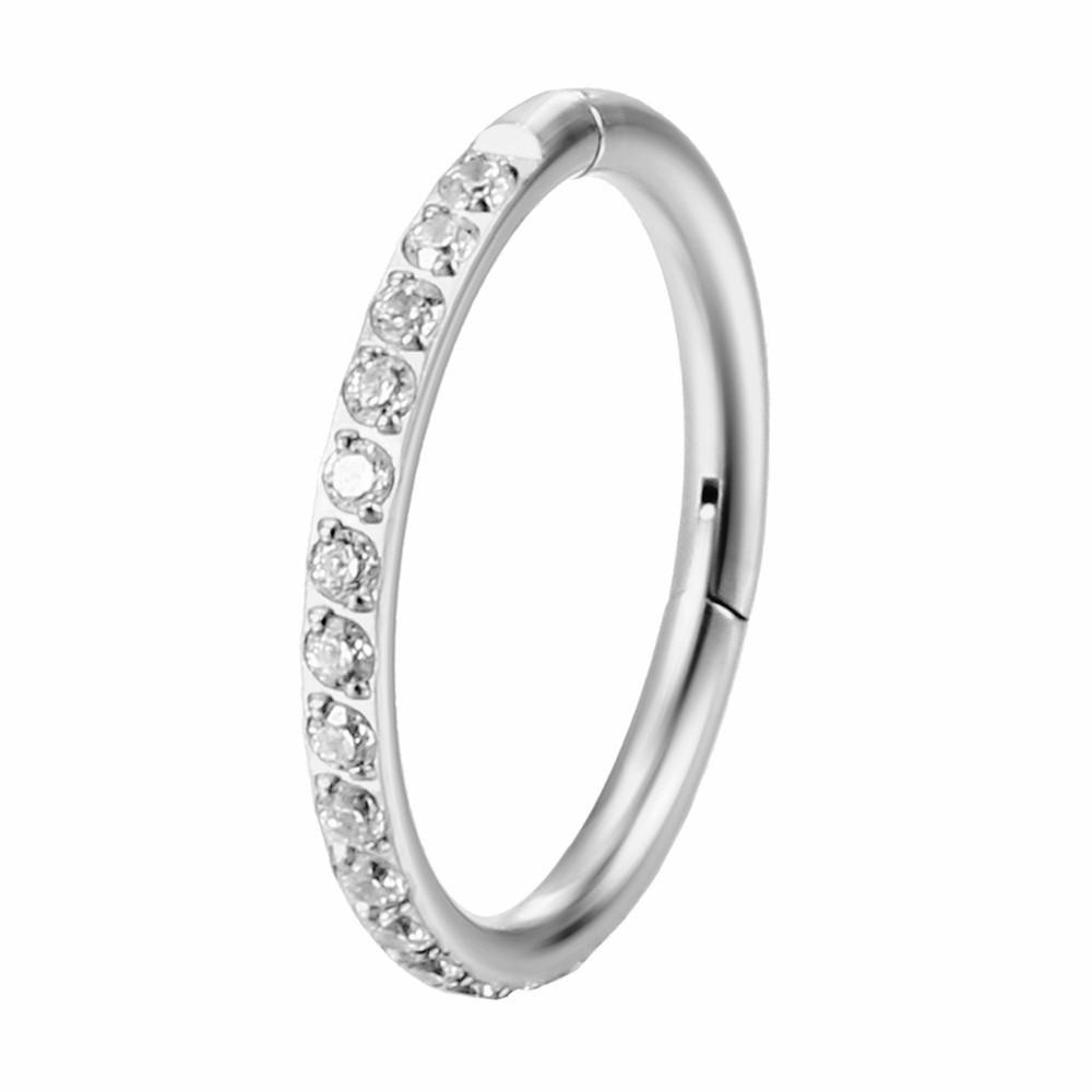 G23 Titan Zirkonia Högkvalitativa Kroppspiercing Smycken: Näspiercing, Stud, Örhänge, Ring, Clicker, Sömlös Ring