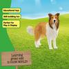 Schleich Farm World Collie 13998
