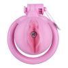 Men Short CB Lock Penis Cage Cock Lock Chastity Lock Sex Toy Femdom Ball Stretcher