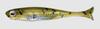 Fish Arrow Soft Lure Flash J Huddle 1 Inch 6 Piece per pack 02 (6679)